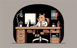 Comment définir un serveur DNS spécifique en utilisant Dns.Resolver en Python ?